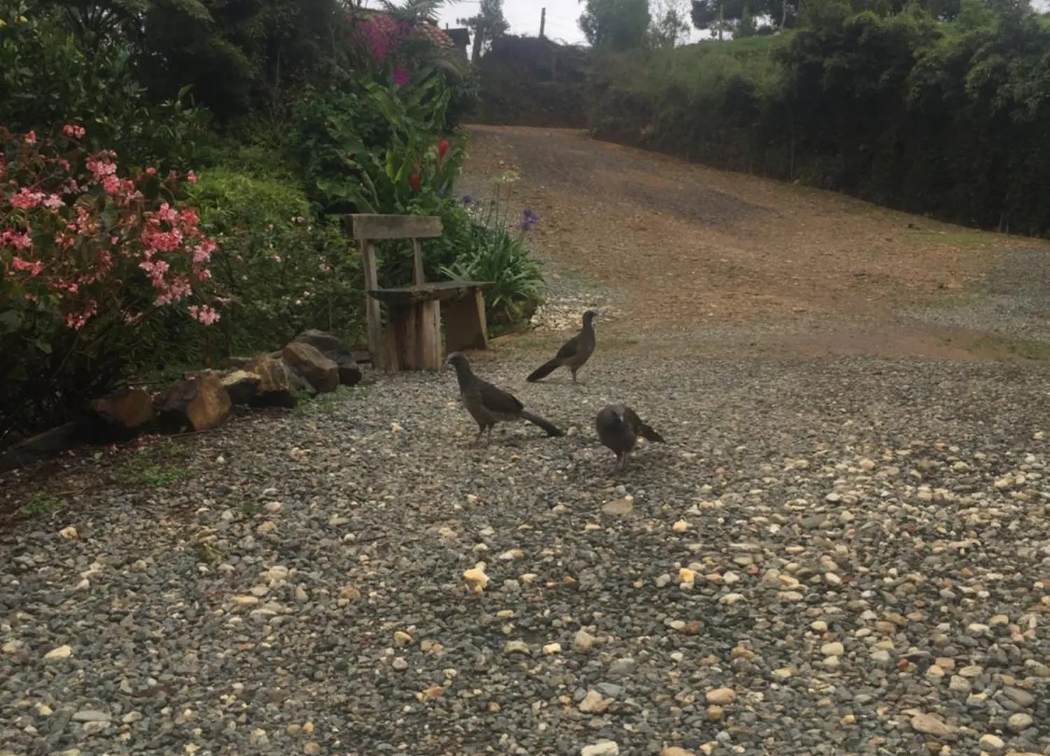 Hospedaje Solentiname Medellín Gerendaház