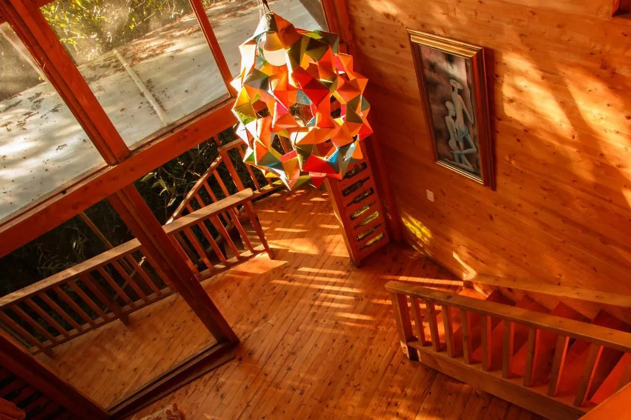 山林小屋 Hospedaje Solentiname 麦德林